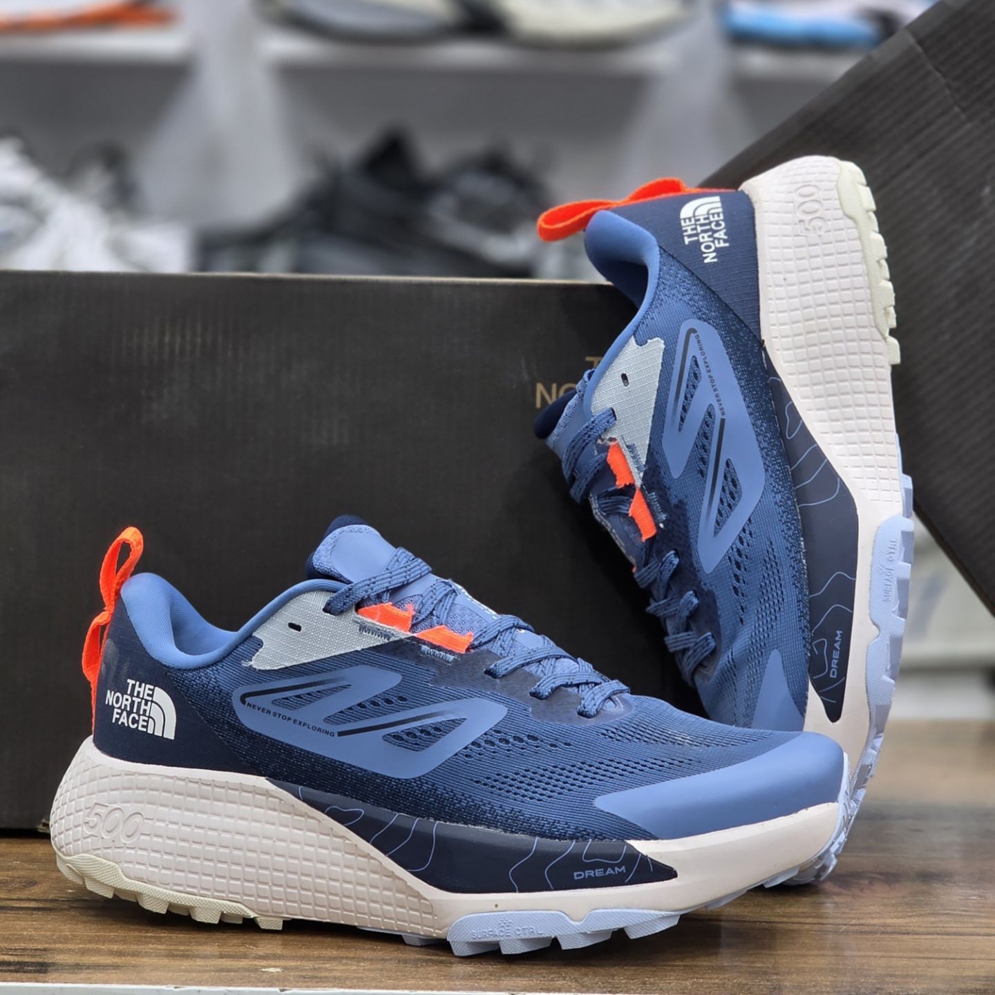 کتونی مستر کوالیتی نورث فیس آلتامسا ۵۰۰ the north face altamesa / ضمانت کیفیت کالا / سایز ۴۰ الا ۴۵